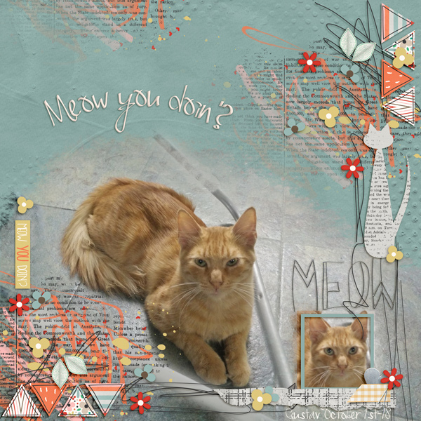 Meow you doing