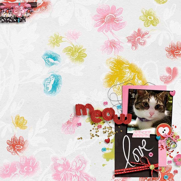 MEOW