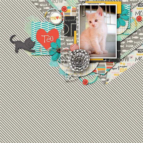 meow