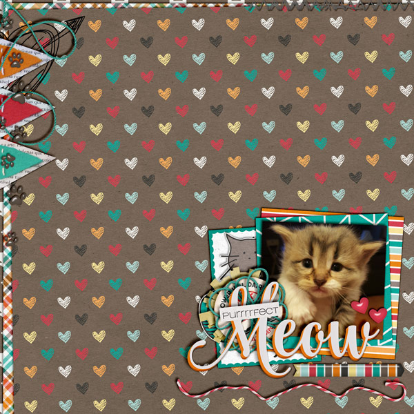 Meow