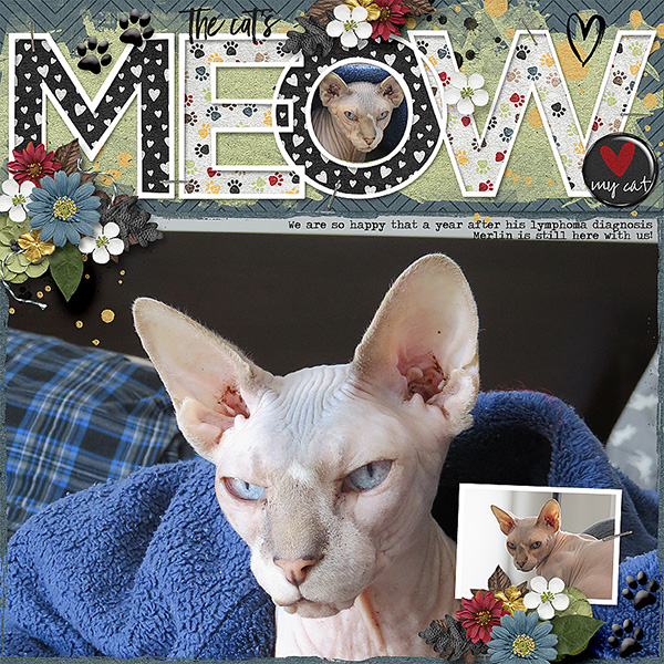 Meow