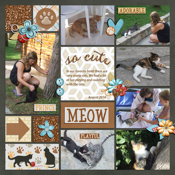 meow