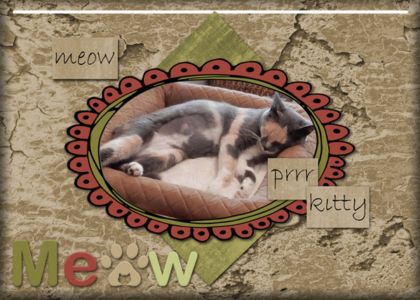 Meow