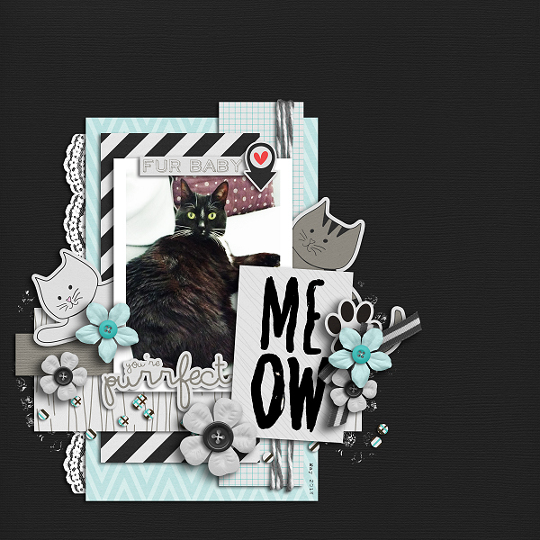 Meow
