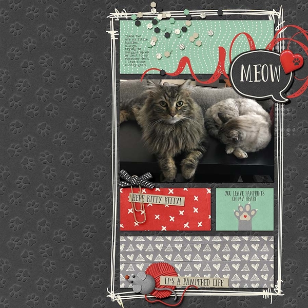 ~Meow~