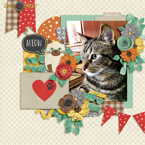 meow