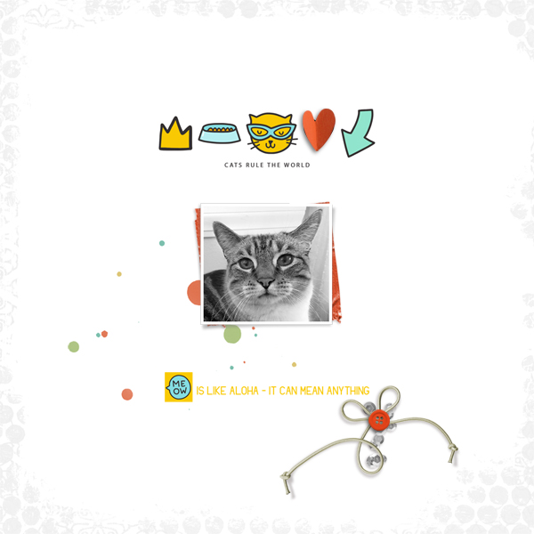 meow