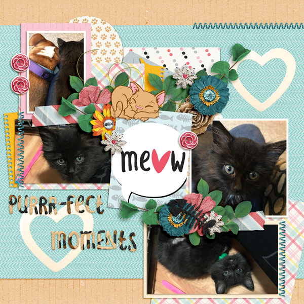 Meow