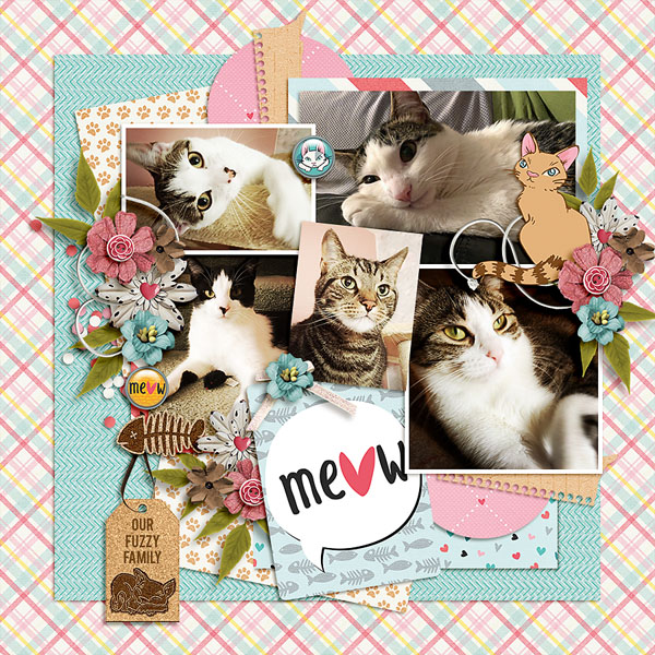 meow