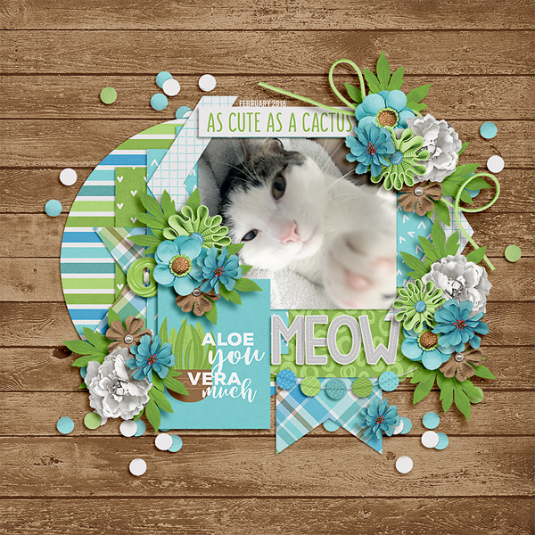 meow