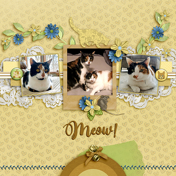 Meow