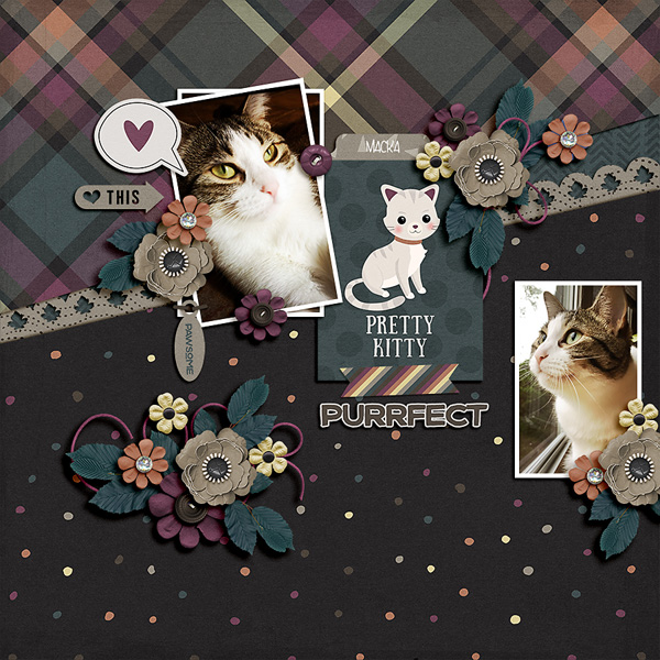 Meow