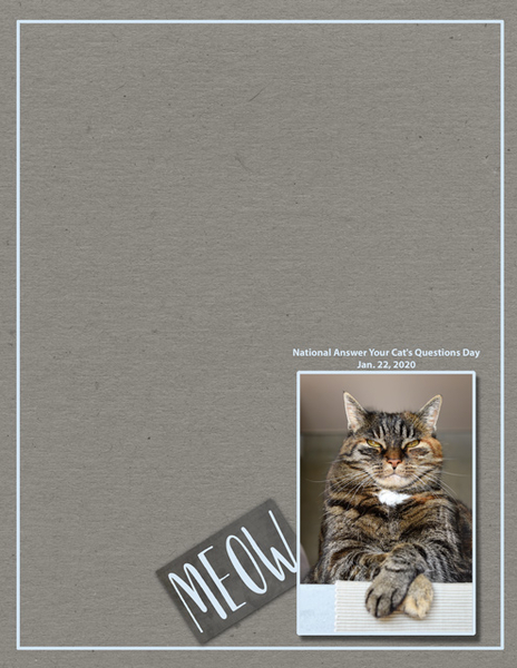 Meow