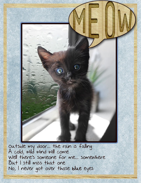 MEOW