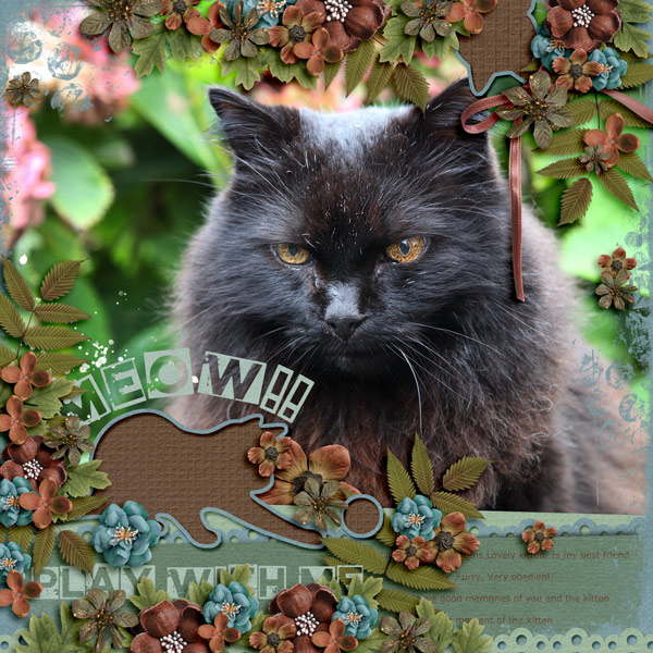 Meow