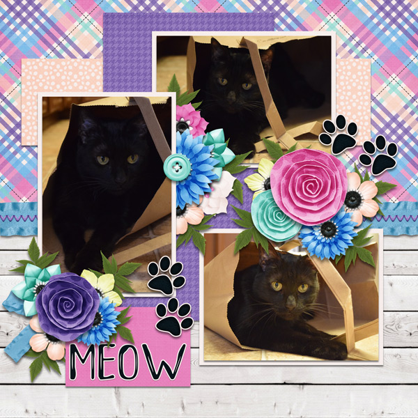 meow