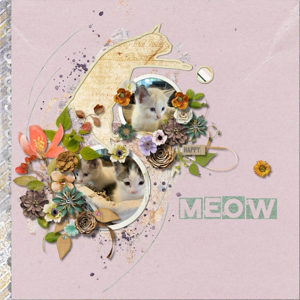 Meow