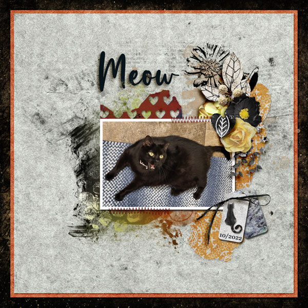 Meow