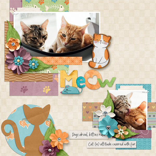 Meow