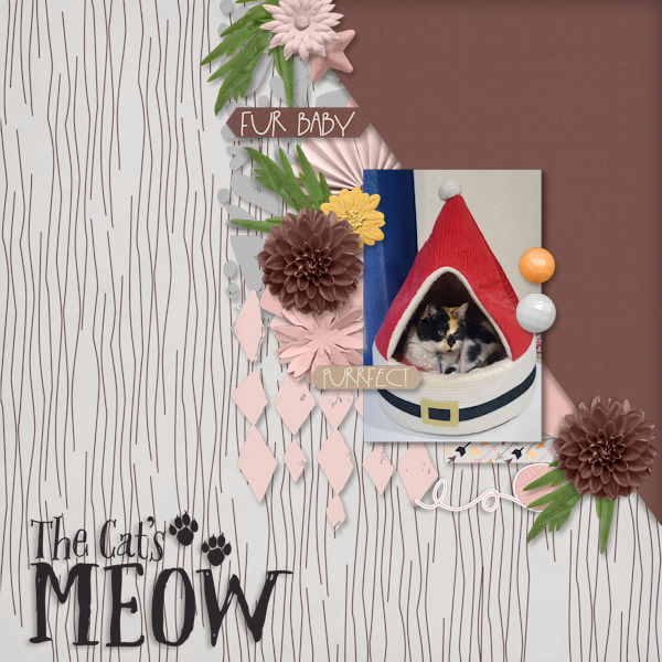 Meow