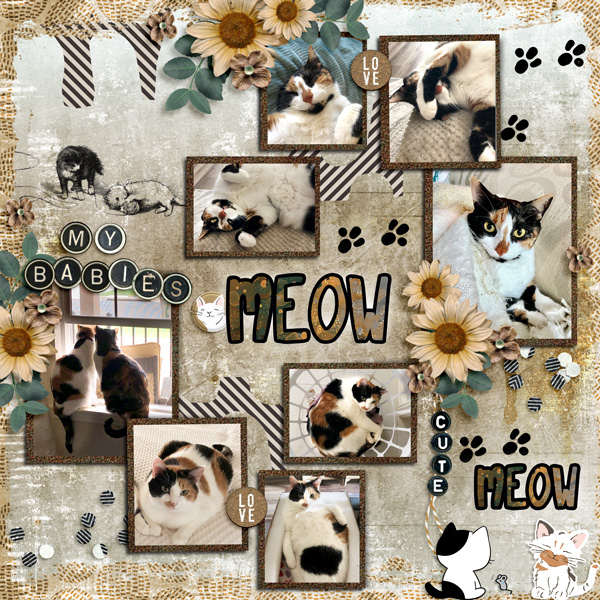 Meow