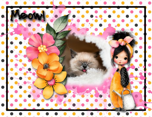 Meow!