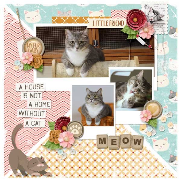 Meow