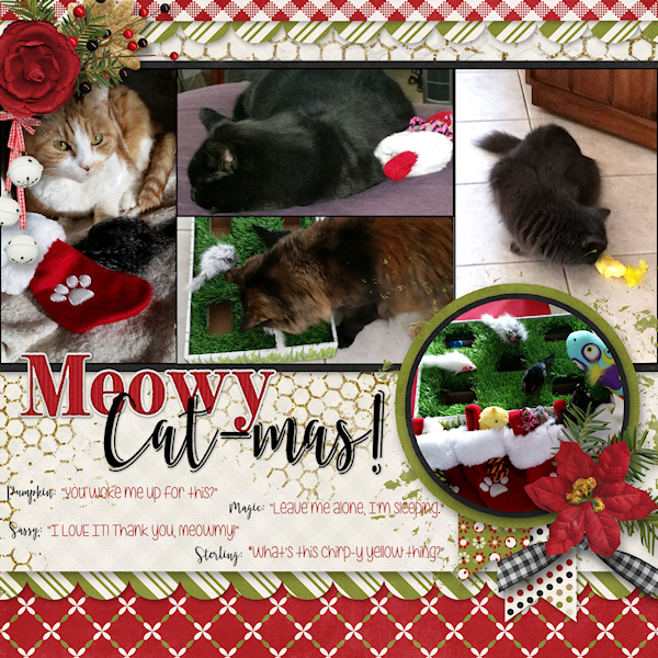 Meowy Cat-mas!