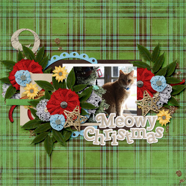 Meowy Christmas