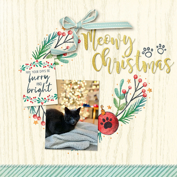 ~Meowy Christmas~