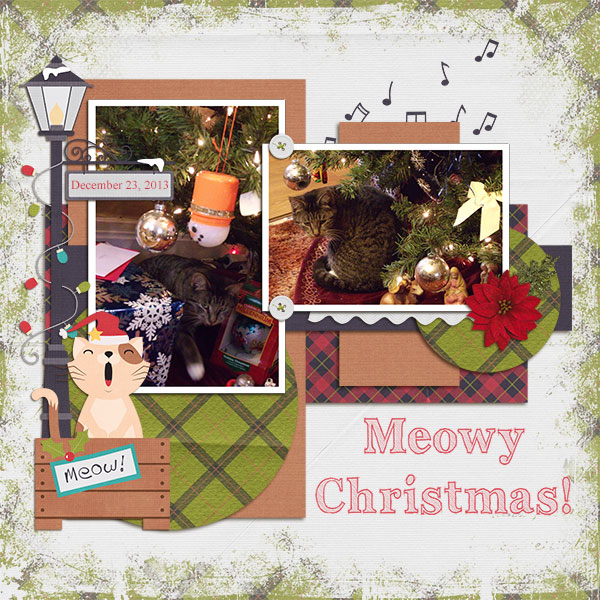 Meowy Christmas !