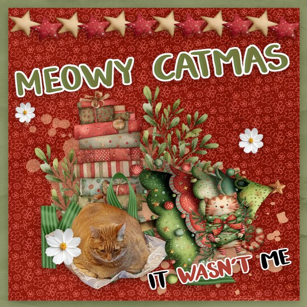 Meowy-Christmas