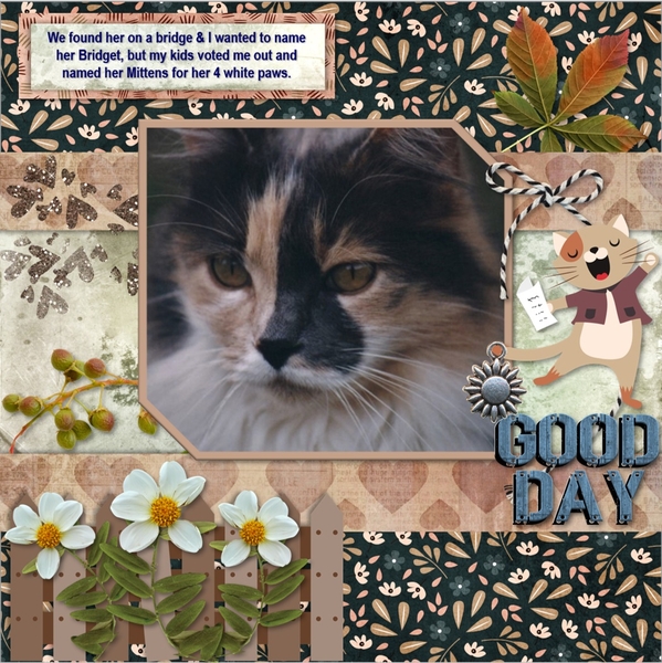 Meowy Good Day