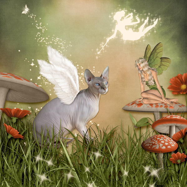 Merlin's Enchanted Garden