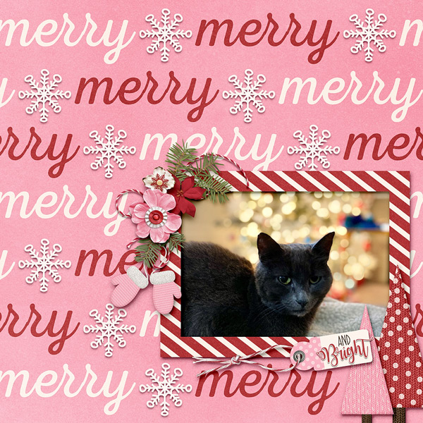 ~Merry and Bright~