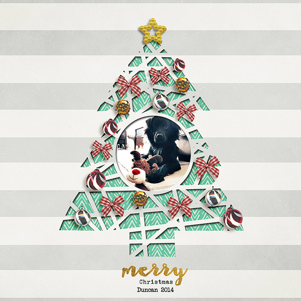 merry christmas duncan