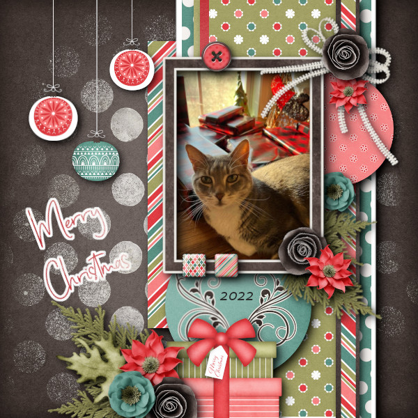 Merry Christmas Ollie