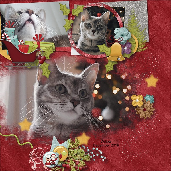 Merry Christmas Willow