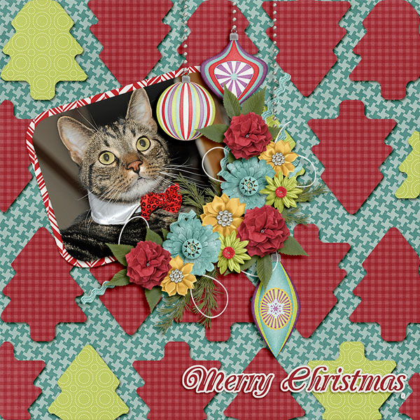 merry christmas