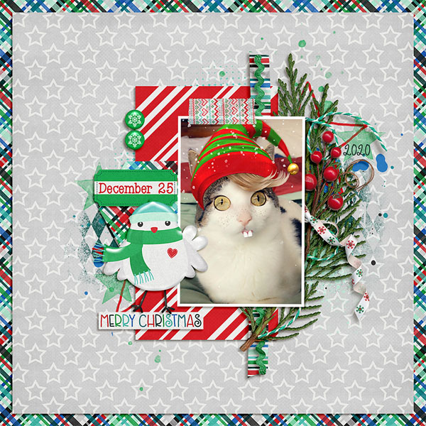 merry christmas