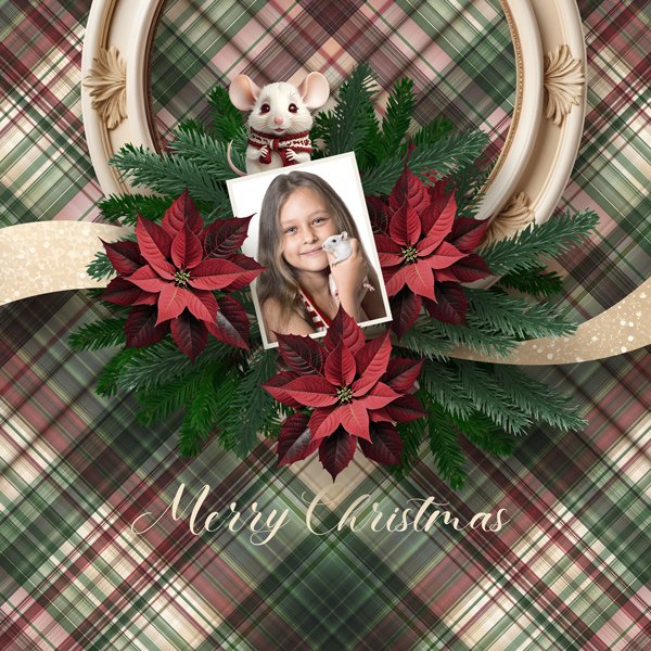 Merry Christmas