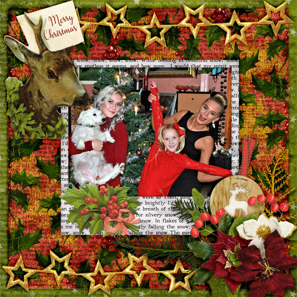 Merry-Christmas29