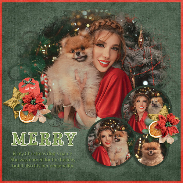 Merry Dog