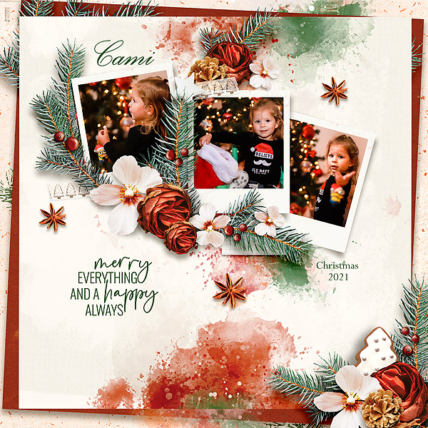 Merry Everything