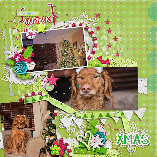 Merry Humbug Christmas