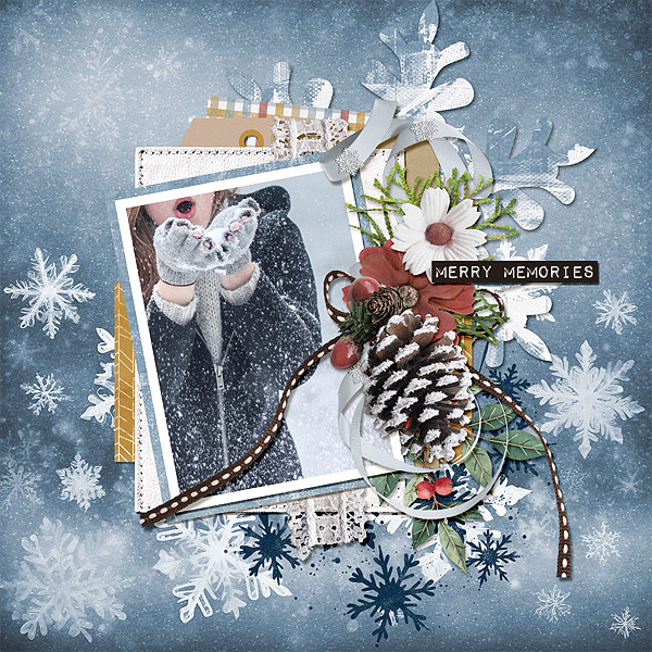 Merry Memories