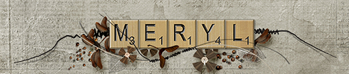 Meryl_01_500x107