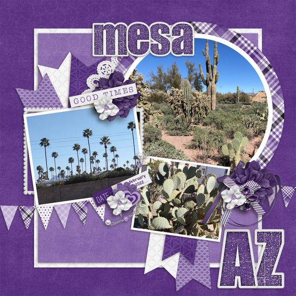 mesa-1