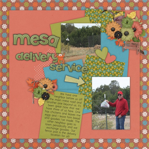 Mesa Delivery Service