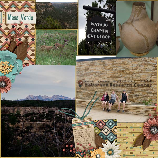 ~Mesa Verde~